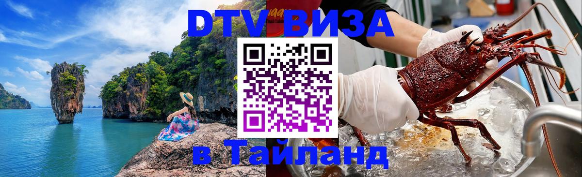 Оформление DTV визы под ключ: стоимость и тарифы, только загранпаспорт - Владимир  03.10.2025 